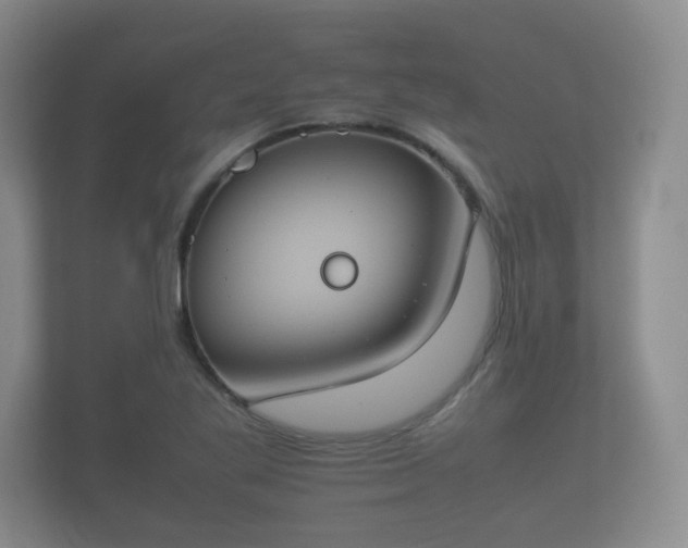 X0000112171269200908141258