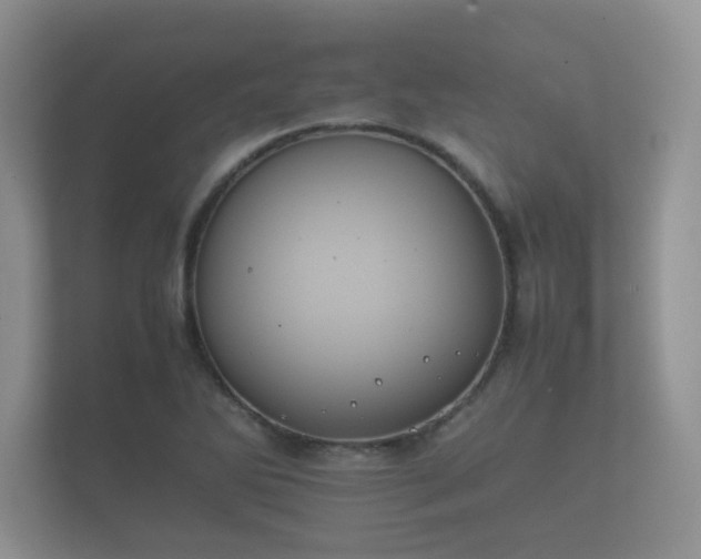 X0000112171270200908141258