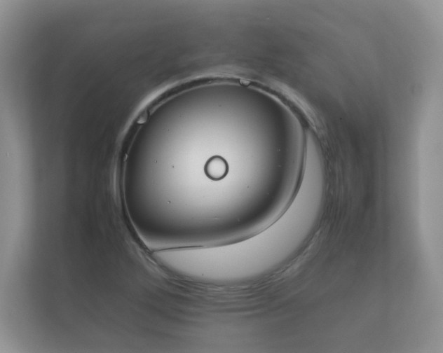 X0000112171272200908141258