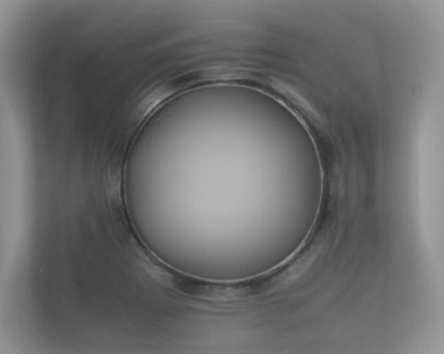 X0000112171273200908141258