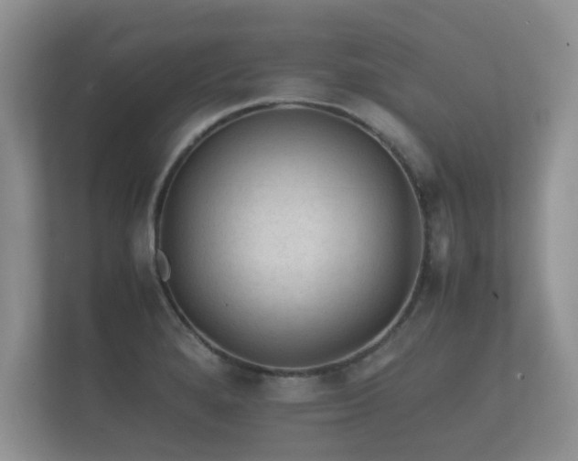 X0000112171280200908141258