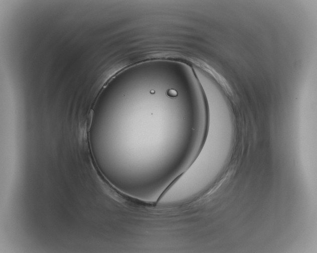 X0000112171281200908141258