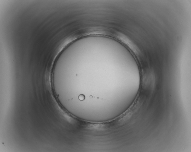 X0000112171282200908141258