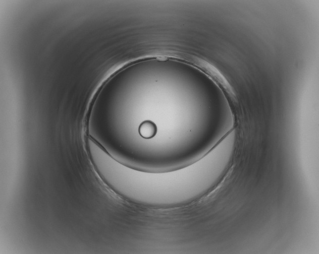 X0000112171284200908141258