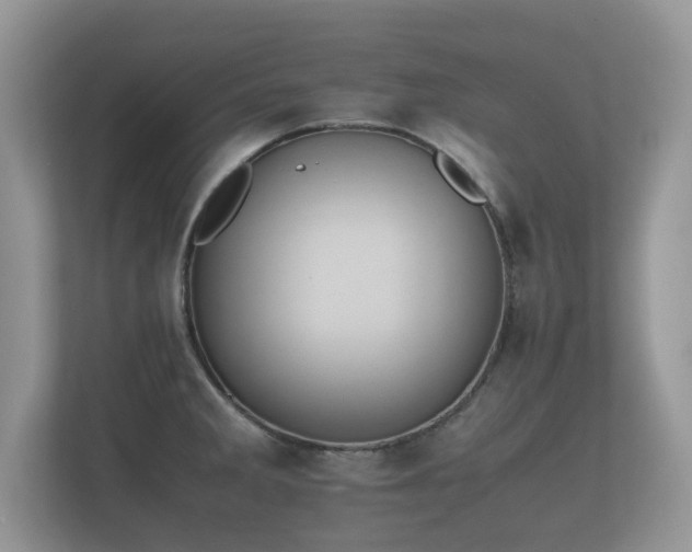 X0000112171285200908141258