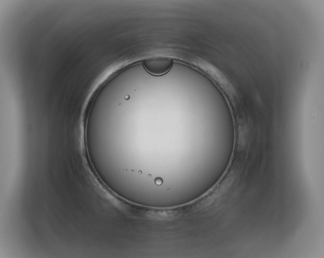 X0000112171286200908141258