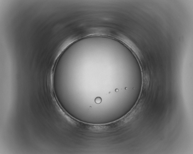 X0000112171290200908141258