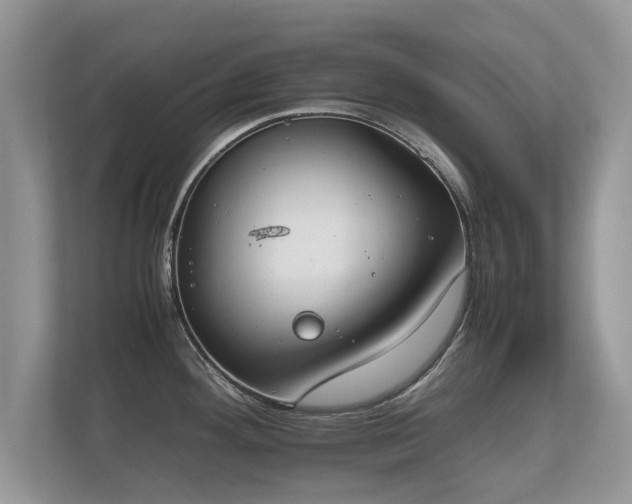 X0000112171292200908141258