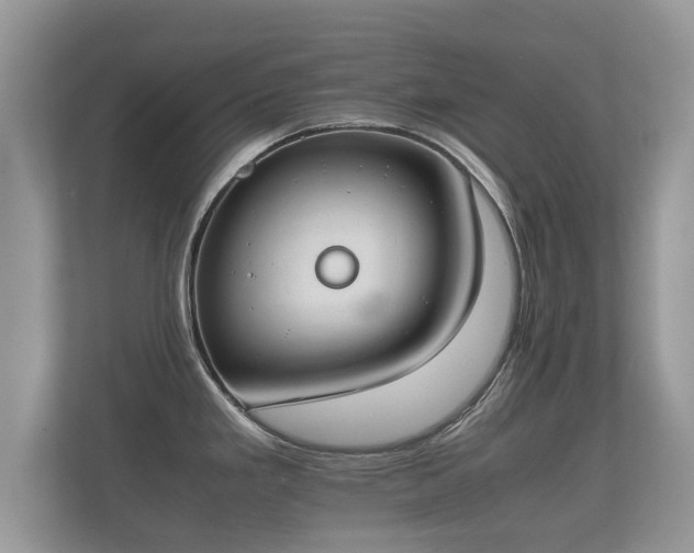 X0000112171293200908141258