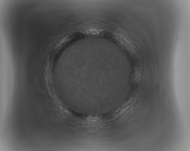 X0000112171297200908141257