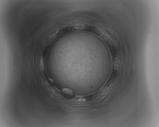 X0000112171298200908141257