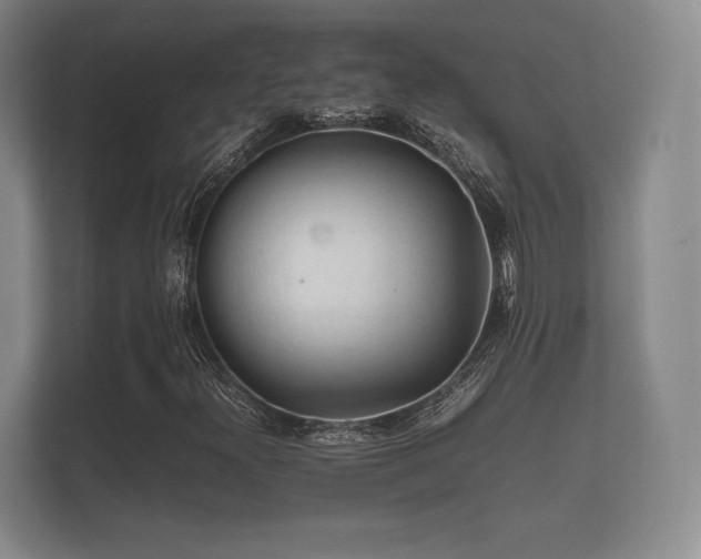 X0000112171300200908141257