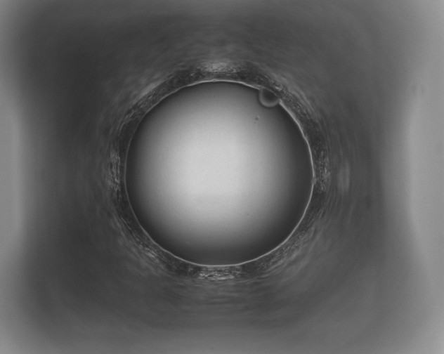 X0000112171301200908141257