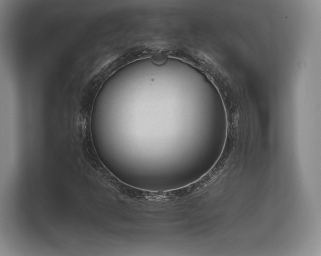 X0000112171302200908141257