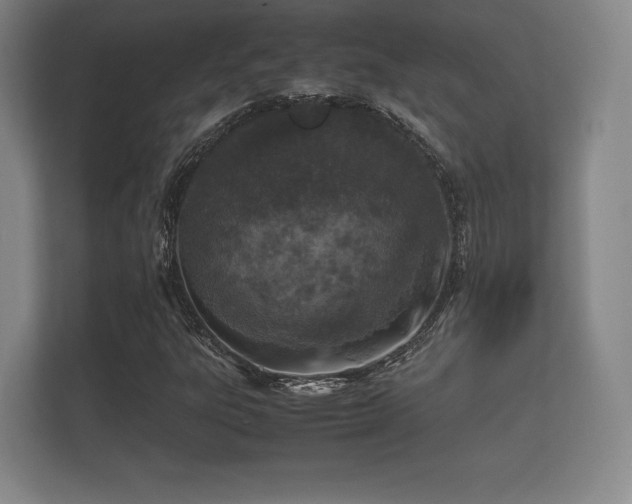 X0000112171303200908141257