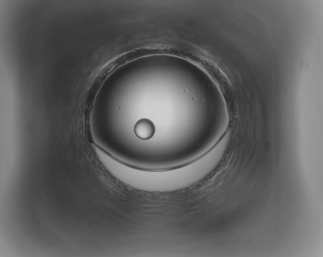 X0000112171304200908141257