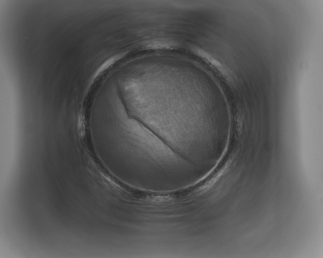 X0000112171306200908141258