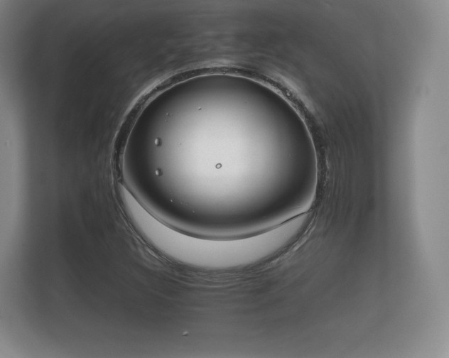 X0000112171308200908141258