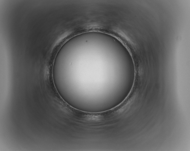 X0000112171309200908141258