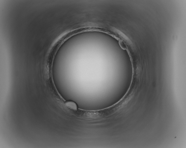 X0000112171310200908141258