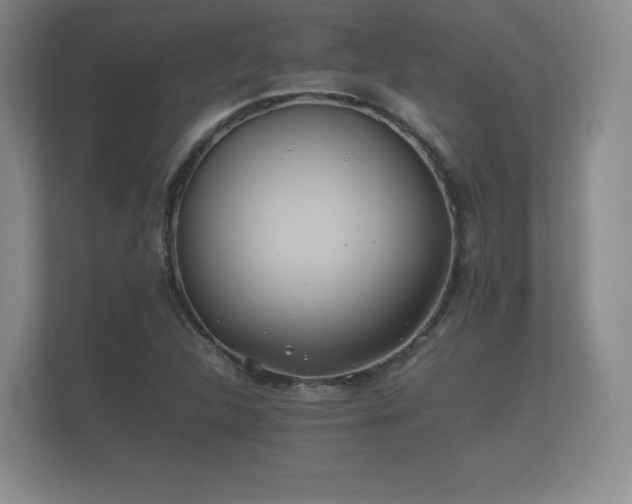 X0000112171312200908141258