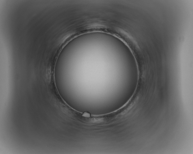 X0000112171313200908141258