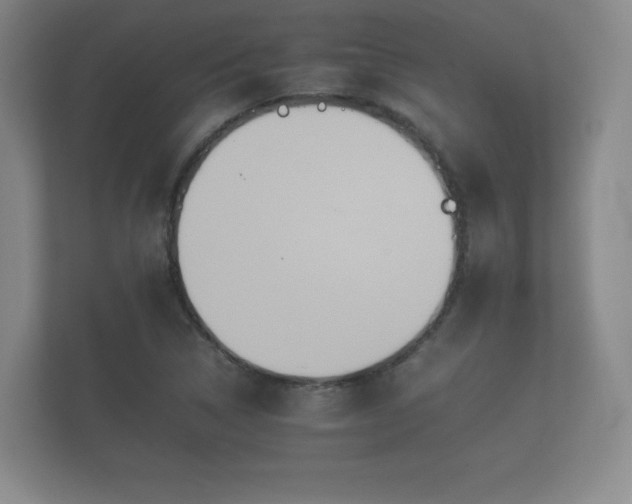 X0000112171314200908141258