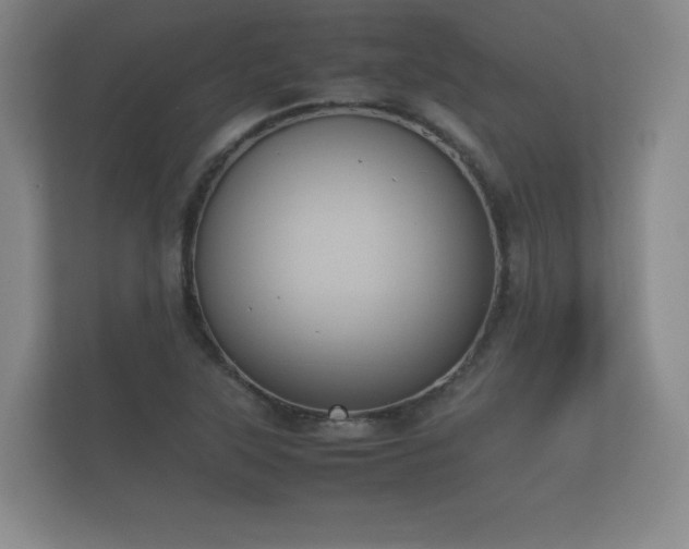 X0000112171315200908141258