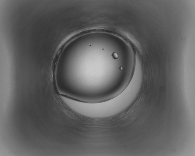 X0000112171316200908141258