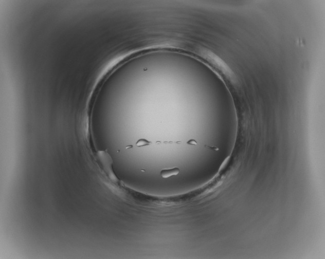 X0000112171324200908141258