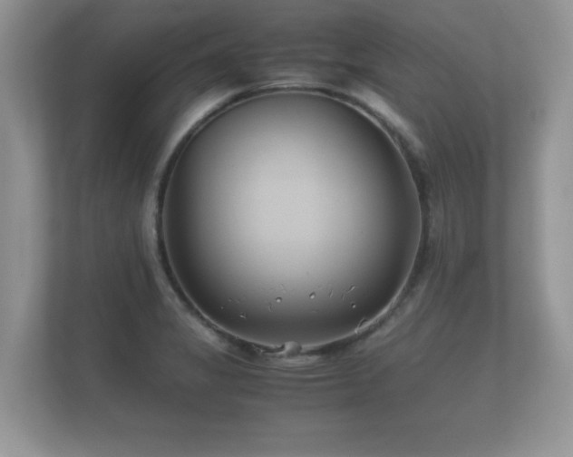 X0000112171325200908141258