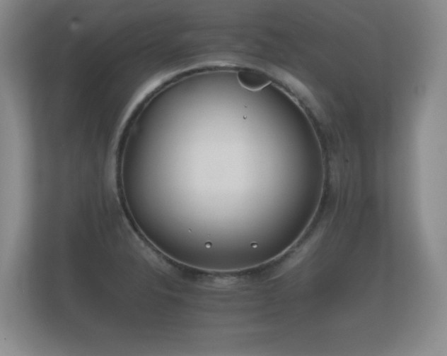 X0000112171326200908141258