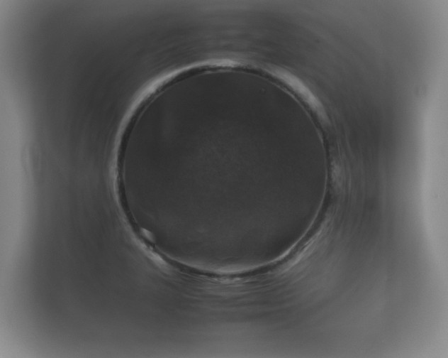 X0000112171327200908141258