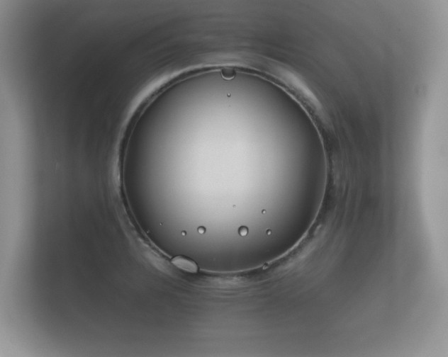 X0000112171328200908141258