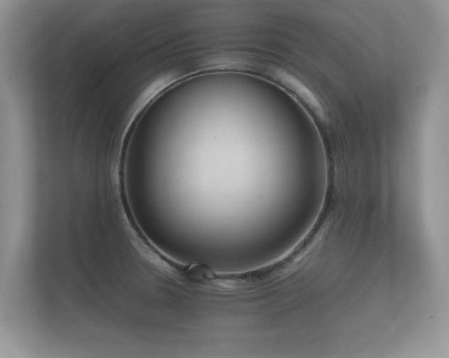 X0000112171330200908141258