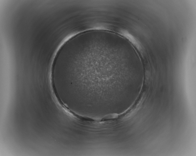 X0000112171331200908141258