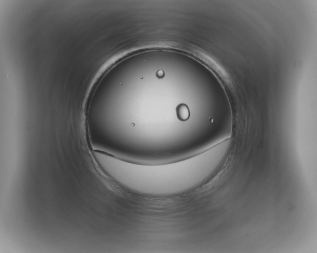 X0000112171332200908141258