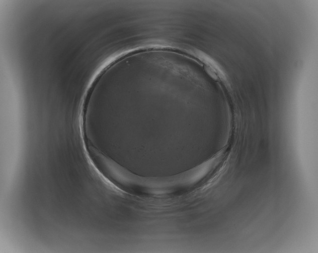 X0000112171334200908141258