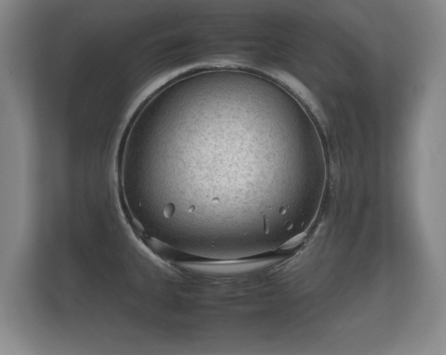 X0000112171335200908141258