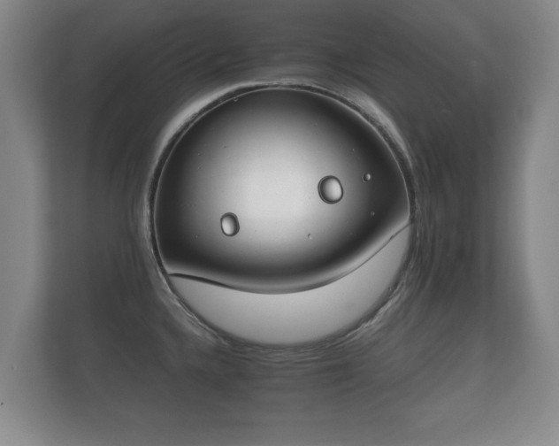 X0000112171336200908141258