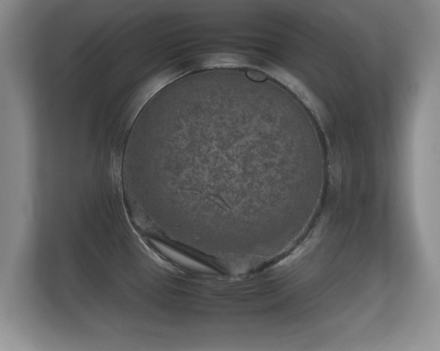 X0000112171337200908141258