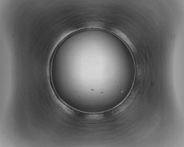 X0000112171339200908141258