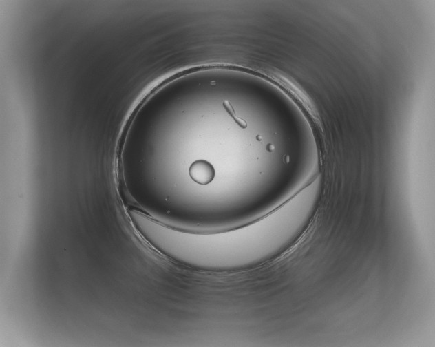 X0000112171340200908141258