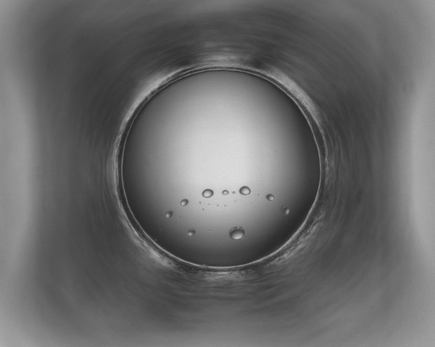 X0000112171341200908141258