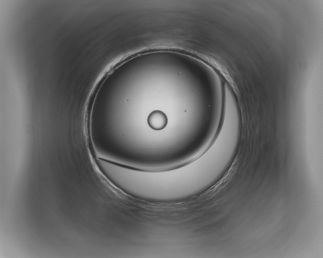 X0000112171342200908141258