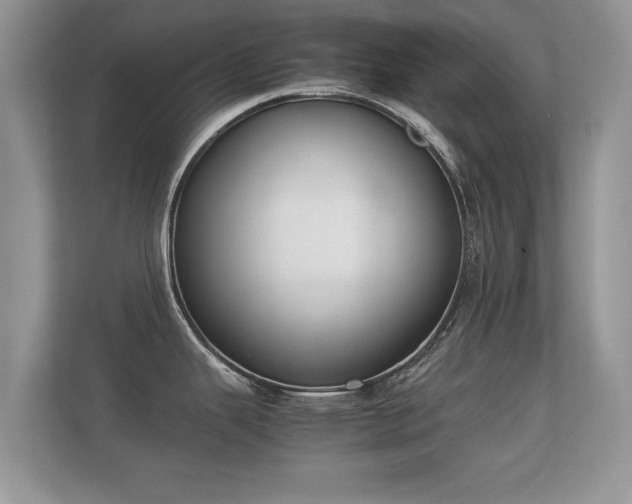 X0000112171343200908141258