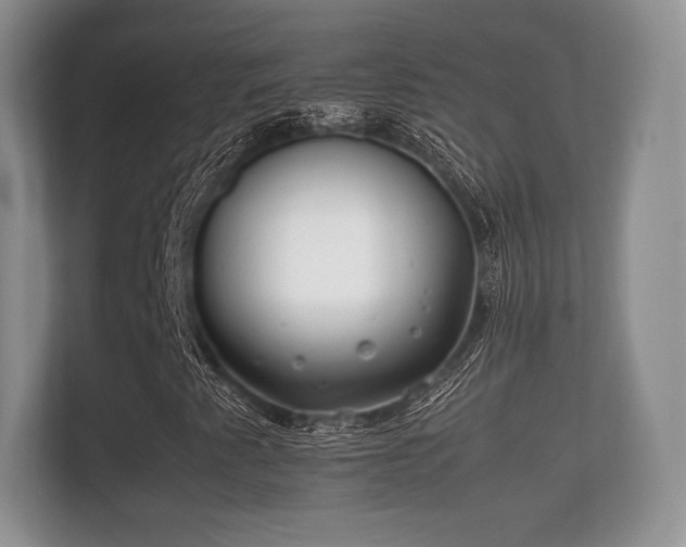 X0000112171345200908141257