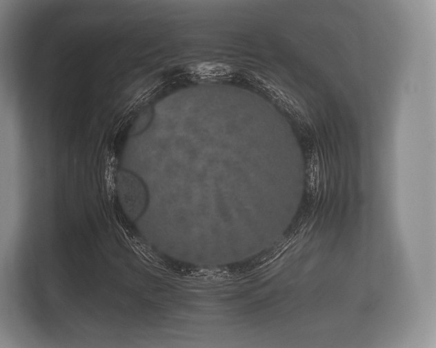 X0000112171346200908141257