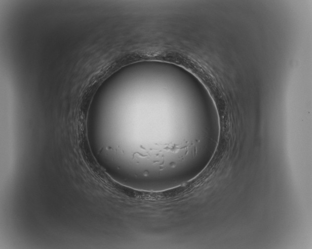 X0000112171349200908141257