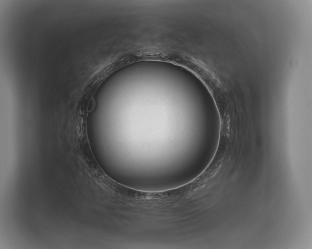 X0000112171350200908141257